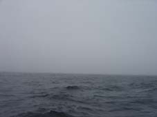 Guernsey