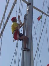 Wat is die mast hoog